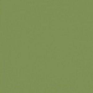 Paint and Paper Library Fowlers Olive Paint